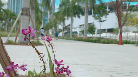 flower-blowing-in-breeze-at-park-near-out-of-focus-tourists