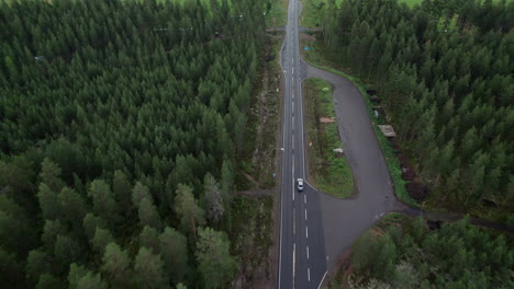 Aerial-Bird-View-of-Forest-Road-in-Finland,-Black-Car-Passing-By,-Drone-Following-Car,-Traffic,-Summer,-Overcast-Day