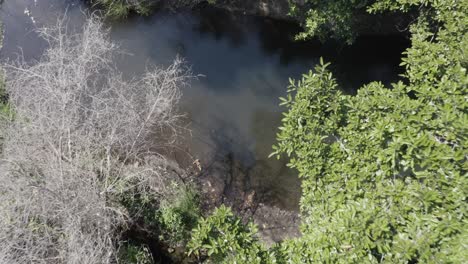 River-closeup,-aerial-shot-drone-moves-up-and-reveals-landscape-full-o-forest-around-river