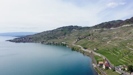 Drone-flyover-right-to-left-showing-the-coast-line,-village-and-vineyards-on-a-lake-in-Switzerland