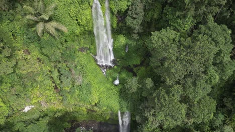 Aerial-descends-thru-lush-dense-green-jungle-foliage-beside-waterfall