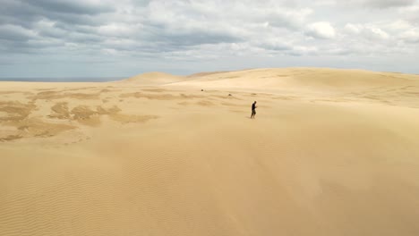 Beautiful-aerial-reveal-of-lone-man-walking-on-massive-sand-dune-at-Te-Paki,-New-Zealand-landscape