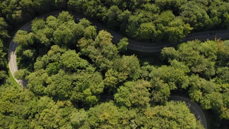 Speed-up-cars-driving-at-a-curvy-street-through-a-idyllic-forest---timelapse-from-above-made-by-a-drone