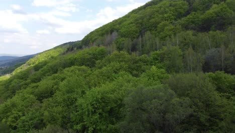 Filmischer-Drohnenclip-über-Den-üppigen-Wäldern-Auf-Den-Vitosha-Bergen-In-Sofia,-Bulgarien