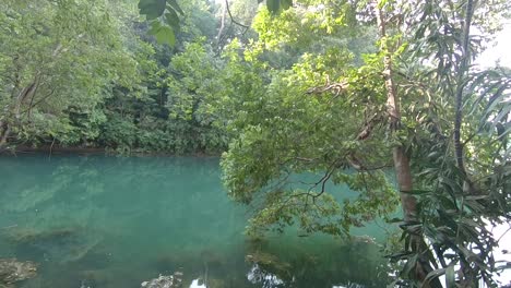 Transparent-green-lake-in-a-jungle