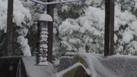 Bird-Feeder-Covered-in-Snow---Slow-Motion