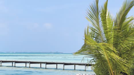 Experimente-La-Belleza-Sublime-De-Las-Maldivas-De-Las-Aguas-Azul-Celeste-Del-Océano-De-La-Isla,-Capturadas-En-Impresionantes-Tomas-De-Primer-Plano-En-Cámara-Lenta-Junto-A-Las-Majestuosas-Palmeras-Y-La-Exuberante-Vegetación