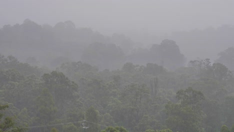 Handheld-shot-of-trees-adjacent-to-Hinze-Dam-under-heavy-rain-during-La-Niña,-Gold-Coast-Hinterland,-Queensland,-Australia