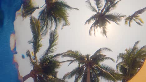 Palm-trees-viewed-from-inside-a-pool-under-the-water-ripples---Slow-Motion