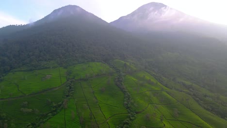 Aerial-view-of-fresh-green-tea-terrace-farm-on-the-slope-of-mountain