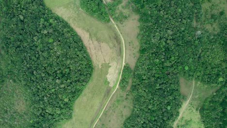 The-aerial-view-captures-a-road-winding-through-a-dense-forest,-showcasing-the-natural-beauty-of-the-area