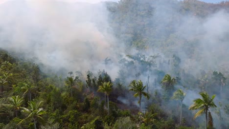 Wildfire-in-tropical-rainforestd,-smoke-and-fire-endangering-animals---Aerial-view