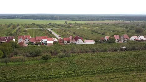 Aerial-View-Of-An-Idyllic-Village-With-Winery-Vineyards-In-The-Countryside