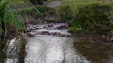 Small-stream-flows-through-a-park