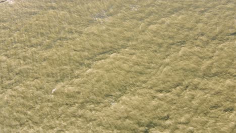 Aerial-view-of-dirty-shore-sea-problem-environmental