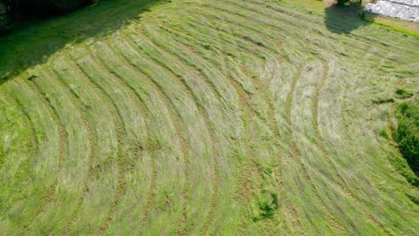 Mowed-agriculture-meadow-in-rural-landscape-of-France,-aerial-view