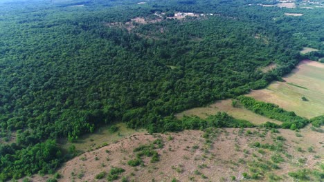 Aerial-revealing-shot-of-dense-woodland-in-the-Croatian-countryside