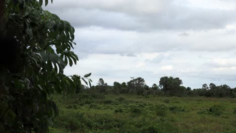 Timelapse-De-Nubes-En-El-Paisaje-Pantanal-De-Brasil