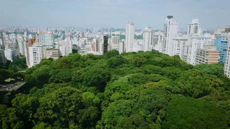 Hermoso-Parque-En-El-Centro-De-São-Paulo,-Toma-Aérea