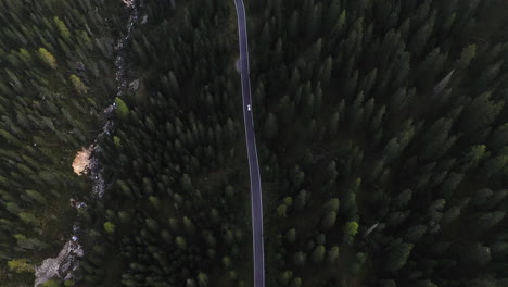Aerial-view-following-a-car-on-a-road-in-middle-of-woods-and-a-river,-in-Dolomites,-Italy