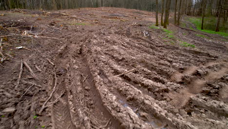 Truck-tracks-through-mud-on-clearcut-woodland,-permanent-environmental-damage