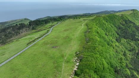 Green-vivid-hilly-terrain-with-countryside-road-and-ocean-in-horizon,-aerial-view