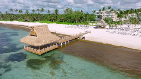 Aerial-view-of-seaweed-on-shore-with-private-jetty-with,-sandy-beach-hotel-apartment-during-summer-day---Dominican-Republic