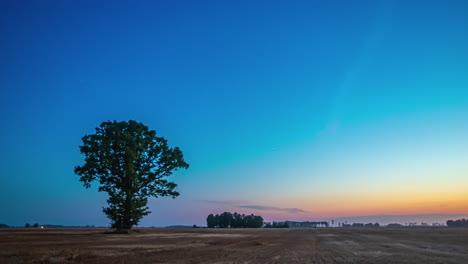 Erstaunlicher-Zeitraffer-Des-Sonnenaufgangs-Hinter-Einem-Isolierten-Baum-Mit-Klarem-Himmel-Darüber