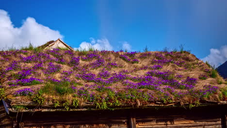 Zeitraffer-Eines-Mit-Violetten-Blumen-Und-Wolken-Bedeckten-Holzhausdachs,-Das-An-Einem-Frühlingstag-Schnell-Am-Himmel-Vorbeizieht