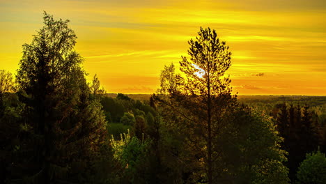Hermoso-Amanecer-Detrás-De-Exuberantes-árboles-De-Silueta-Verde-Con-Tenues-Nubes-Amarillas