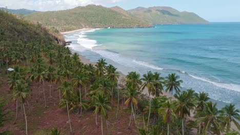 Luftdrohnen-Panoramablick-Auf-Playa-El-Valle-In-Der-Nähe-Von-Santa-Barbara-De-Samana-In-Der-Dominikanischen-Republik