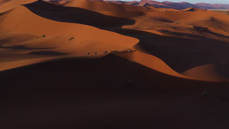 Flying-around-Oryx-antelopes-on-sand-dunes,-sunny-evening-in-Namibia---Aerial-view