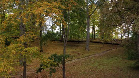 Parktreppe-Und-Fallende-Blätter-Herbstlicher-Bäume,-Dolly-Vorwärts