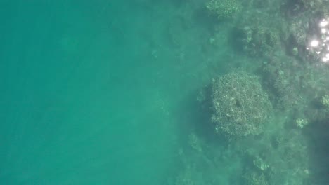 Statische-Luftdrohnenaufnahmen-Des-Korallenriffs-Und-Der-Lagune-In-Tahiti