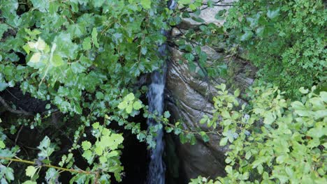 Tilt-down-small-waterfall-runnel-in-bedrock-groove,-wet-green-plants