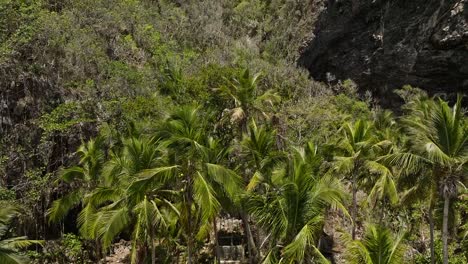 Drohne-Steigt-Im-Undurchdringlichen-Wald,-Dominikanische-Republik