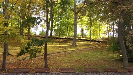 Fallende-Bunte-Herbstblätter-Im-Hellen,-Lebendigen-Park-An-Einem-Sonnigen-Tag,-Dolly-Vorwärts