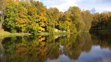 Lebendiger-Herbstwald,-Der-Sich-Auf-Ruhigem-Seewasser-Spiegelt,-Luftaufnahme