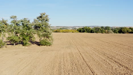 Dry-brown-field-with-a-tree-in-rural-Spain,-Europe,-aerial-backward-rise-up