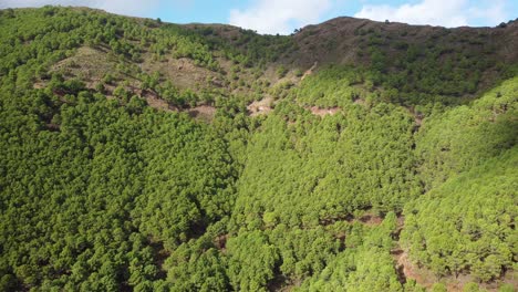 Waldbedeckte-Hügel-In-Andalusien-Mit-Sonne,-Die-Durch-Wolken-Scheint,-Luftaufnahme