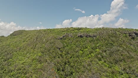 Drone-rising-over-lush-and-verdant-forest-with-Samana-Peninsula-in-background,-Dominican-Republic