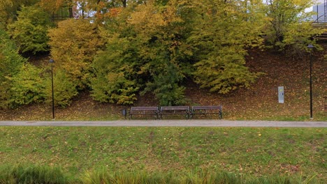 Park-pathway-with-benches-in-autumn-season,-aerial-side-fly-view