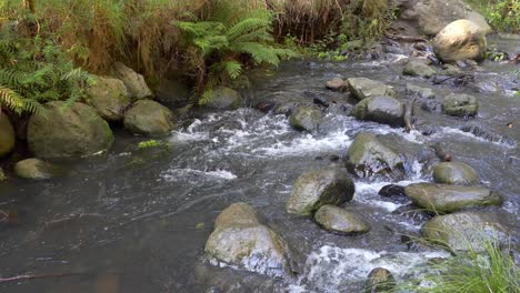 White-water-created-by-steadily-flowing-stream-passing-rocks---Banks-Peninsula