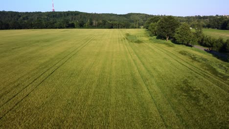 Flying-a-drone-over-a-cornfield-Czech-Republic-4K