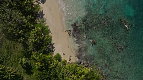 Playa-Rincon-tropical-and-exotic-beach,-Las-Galeras-in-Dominican-Republic