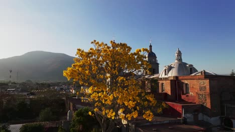 Aerial-orbiting-shot-of-yellow-blooming-tree-in-spring-season-in-front-of-San-Bautista-temple-in-Tuxpan,Mexico