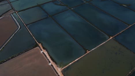 Geometrical-colorful-saline-ponds,-basins-and-lakes-for-saltworks-farming-on-island-Mallorca,-Spain