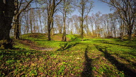 Zeitraffer-Einer-Ruhigen-Szene-Des-Frühlingsfeldes-Mit-Gras-Und-Gelben-Blumen-Mit-Schatten-Von-Bäumen-Im-Hintergrund,-Die-Sich-über-Die-Wiese-Bewegen