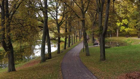 Goldene-Baumallee-Mit-Weg-Im-örtlichen-Park-In-Der-Herbstsaison,-Dolly-Vorwärts