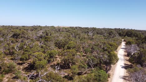Trail-Through-The-Bush,-Aerial-Pan-Left-Clip-Over-Treetops,-Perth-Australia